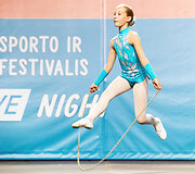 Vilniaus sporto ir kultūros festivalis