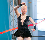 Vilniaus sporto ir kultūros festivalis