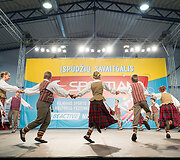 Vilniaus sporto ir kultūros festivalis