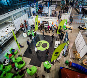 Vilniaus sporto ir kultūros festivalis