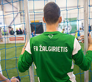 Vilniaus sporto ir kultūros festivalis
