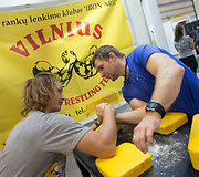 Vilniaus sporto ir kultūros festivalis