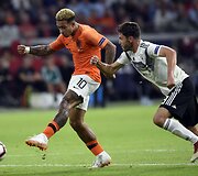 Olandija &ndash; Vokietija