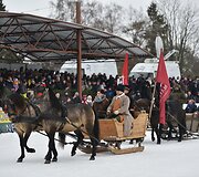 Ristūnų žirgų lenktynės &bdquo;Sartai 2019&ldquo;