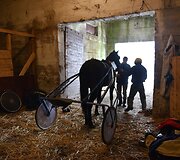 Ristūnų žirgų lenktynės &bdquo;Sartai 2019&ldquo;