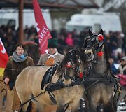 Ristūnų žirgų lenktynės &bdquo;Sartai 2019&ldquo;