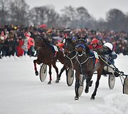 Ristūnų žirgų lenktynės &bdquo;Sartai 2019&ldquo;