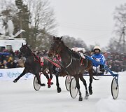 Ristūnų žirgų lenktynės &bdquo;Sartai 2019&ldquo;