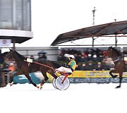 Ristūnų žirgų lenktynės &bdquo;Sartai 2019&ldquo;