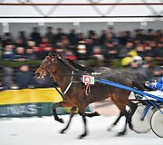 Ristūnų žirgų lenktynės &bdquo;Sartai 2019&ldquo;