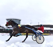 Ristūnų žirgų lenktynės &bdquo;Sartai 2019&ldquo;