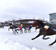 Ristūnų žirgų lenktynės &bdquo;Sartai 2019&ldquo;