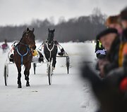Ristūnų žirgų lenktynės &bdquo;Sartai 2019&ldquo;