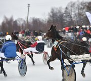 Ristūnų žirgų lenktynės &bdquo;Sartai 2019&ldquo;