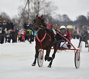 Ristūnų žirgų lenktynės &bdquo;Sartai 2019&ldquo;