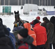 Ristūnų žirgų lenktynės &bdquo;Sartai 2019&ldquo;
