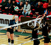 &bdquo;Kaunas-VDU&ldquo; &ndash; &bdquo;Prekyba-Parama&ldquo; 