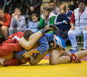10-tasis tarptautinis dr. Pranci&scaron;kaus Eigmino sambo turnyras Vilniuje
