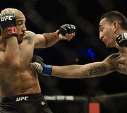 Jose Aldo ir Maxas Holloway