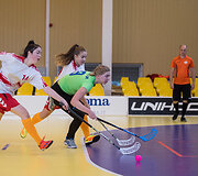 Lietuvos jaunių ir sporto vilčių žaidynių grindu riedulio varžybos Vilniuje