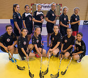 Lietuvos jaunių ir sporto vilčių žaidynių grindu riedulio varžybos Vilniuje