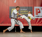 &bdquo;Vilniaus sporto festivalis 2017&ldquo;