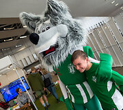 Vilniaus sporto festivalis