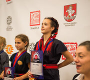 Vilniaus sporto festivalis