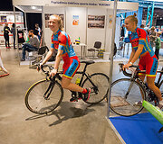 Vilniaus sporto festivalis