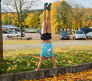 Vilniaus sporto festivalis