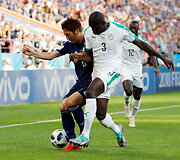 Japonija &ndash; Senegalas
