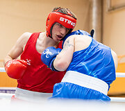 2026 m. Dano Pozniako vardo jaunimo bokso turnyras