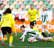 &bdquo;Žalgiris&ldquo; &ndash; &bdquo;Gintra&ldquo;
