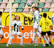 &bdquo;Žalgiris&ldquo; &ndash; &bdquo;Gintra&ldquo;