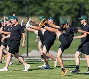 2026 m. Lietuvos beisbolo rinktinė