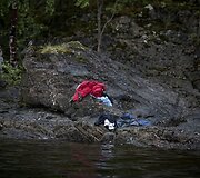19 fotografijų pelnė apdovanojimus 55-tame &bdquo;World Press Photo&ldquo; konkurse