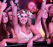 Festivalio svečiai