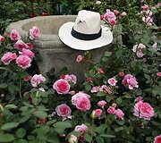 &bdquo;Chelsea Flower Show&ldquo; paroda
