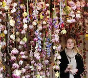 &bdquo;Chelsea Flower Show&ldquo; paroda