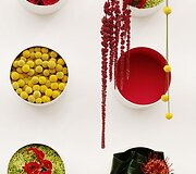 &bdquo;Chelsea Flower Show&ldquo; paroda