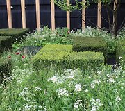 &bdquo;Chelsea Flower Show&ldquo; paroda