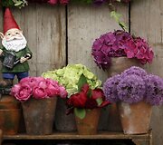 &bdquo;Chelsea Flower Show&ldquo; paroda