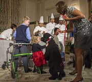 Obamų &scaron;uo pargriovė dvejų metukų Ashtyn Gardner