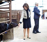 &Scaron;vedijos karalienei Silviai &ndash; 70 metų