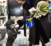 &Scaron;vedijos karalienei Silviai &ndash; 70 metų