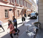 Gorila Vilniuje