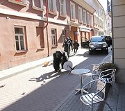 Gorila Vilniuje