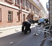 Gorila Vilniuje