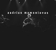 Andriaus Mamontovo koncerto &Scaron;vedijoje akimirka