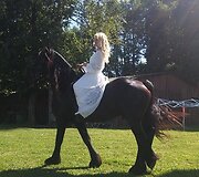 Vaida Genytė